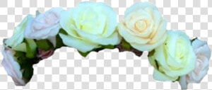 White Rose Flower Crown Transparent   Green Flower Crown Png  Png Download