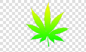 Reggae Visuals Thinking Stuffs   Weed Png  Transparent Png