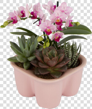 Flowerpot  HD Png Download