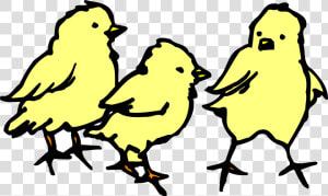 3 Chicks Clipart Black And White  HD Png Download