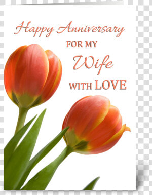 Happy Anniversary For Wife Greeting Card   Happy Anniversary With Tulips  HD Png Download