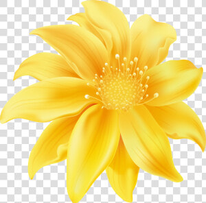 Yellow Flower Png Clip Art   Flor Em Png Sem Fundo  Transparent Png