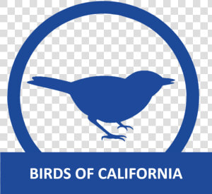 Birds Of California   Stickers Animaux  HD Png Download