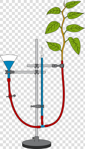 Measurement Of Transpiration With A Potometer   Transpiration Potometer  HD Png Download