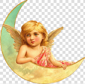 Transparent Baby Angel Png   Victorian Cherub Png  Png Download