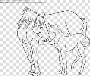 Horse And Foal Drawing At Getdrawings   Kleurplaat Paard En Veulen  HD Png Download