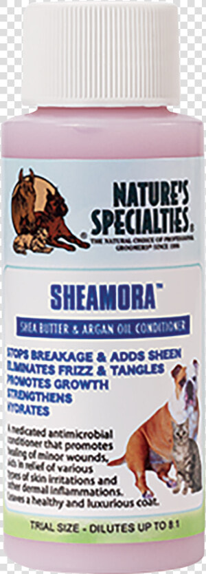 Sheamora® Shea Butter  amp  Argan Oil Conditioner Data zoom   Mosquito  HD Png Download