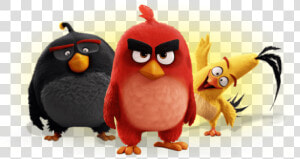 Red Chuck And Bomb Angry Birds  HD Png Download