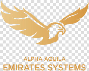 Alpha Aquila Emirates Systems   Hawk  HD Png Download