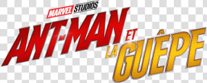 Logopedia   Ant Man La Guepe  HD Png Download