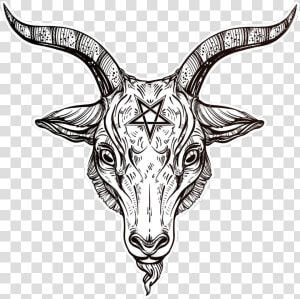 69137579 Pentagram With Demon Baphomet Satanic Goat   Satanic Goat Head Drawing  HD Png Download