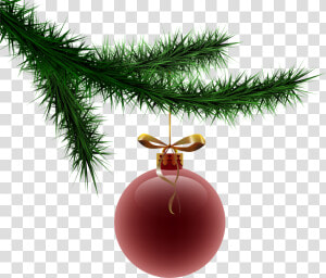 Branch Clipart Christmas   Christmas Tree Branch With Ornament Png  Transparent Png