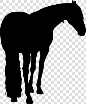 Horse Black Shape With Long Tail   Icon  HD Png Download