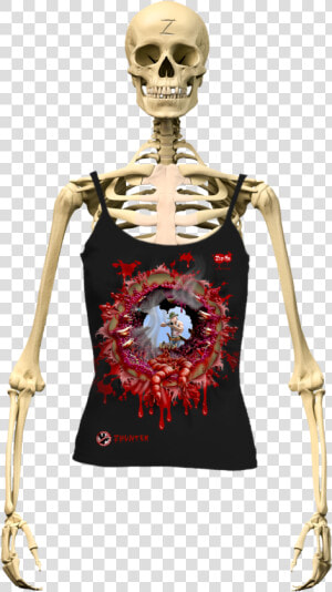 Zombe Top Anti Zombie Zhunter For Women   Skeletal System Human Skeleton  HD Png Download