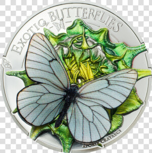 Aporia Crataegi Butterfly 3d Silver Coin 500 Togrog   3d Mince Vyrocie  HD Png Download