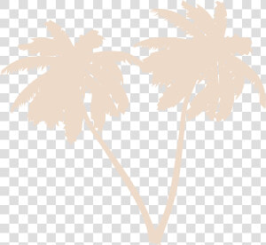 Palms Png  Transparent Png