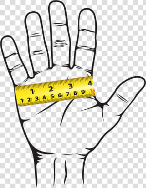 Carpalaid Hand Measurement Final   Hand Stop Sign Drawing  HD Png Download