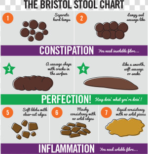 Bristolstoolchart   Bristol Stool Chart Fibre  HD Png Download