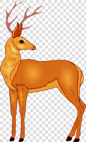 Baby Deer Clipart Free Clip Art Images   Deer Clip Arts  HD Png Download