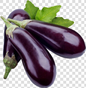 Eggplant Png Image   Eggplant Png  Transparent Png