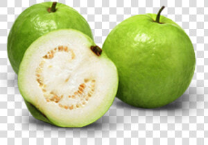 Indian Guava   Png Download   Allahabad Safeda Guava Variety  Transparent Png