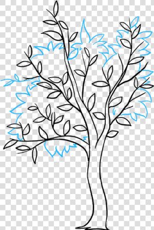 How To Draw Fall Tree   Easy Draw A Tree  HD Png Download