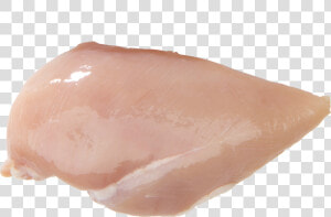 Transparent Chicken Drumstick Png   Boneless Chicken Breast Png  Png Download