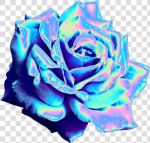 Top 10 Holographic Flowers These Stickers And So Much   Aesthetic Blue Rose Png  Transparent Png