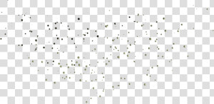 Black And White Speckles Transparent  HD Png Download