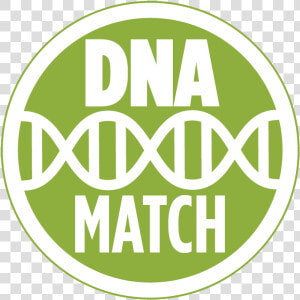 Ancestry Dna Match Icon  HD Png Download