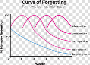 Memory Retention Graph  HD Png Download