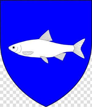 Heraldry Vector Shark   Scalable Vector Graphics  HD Png Download