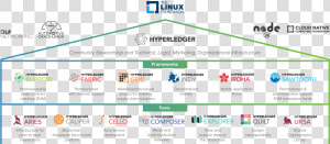 Hyperledger Frameworks And Tools  HD Png Download