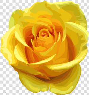 Yellow Rose Png Transparent Image   Yellow Rose Transparent  Png Download