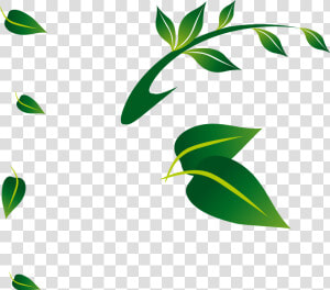 Leaf Floral Png Clipart   Png Download   Floral Leaves Png  Transparent Png