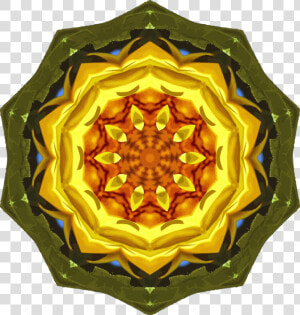 Art symmetry plant  HD Png Download