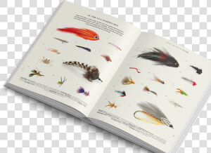 The Fly Fisher Gestalten Book Flyfishing Class   Madagascar Hissing Cockroach  HD Png Download