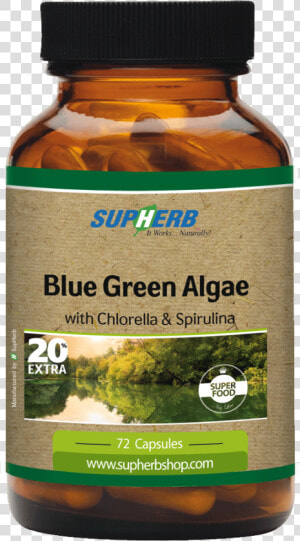 Blue Green Algae   Spirulina Supherb  HD Png Download