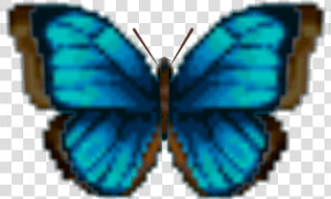 Download Zip Archive   Emperor Butterfly Png Animal Crossing  Transparent Png