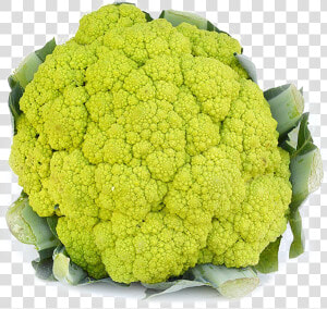 Cauliflower Png Image Transparent   Variety Of Cauliflower  Png Download