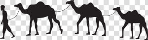 Dromedary Camel Train Silhouette Horse Clip Art   Transparent Background Camel Clipart  HD Png Download