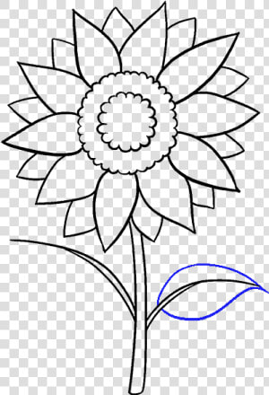 How To Draw Sunflower   Aesthetic Sunflower Drawing Easy  HD Png Download