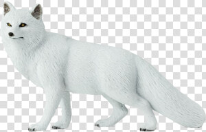 Arctic Fox Png Clipart   Arctic Fox  Transparent Png