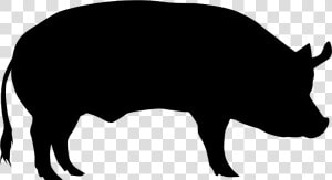 Domestic Pig Cattle Sheep Silhouette   Transparent Background Pig Silhouette Png  Png Download