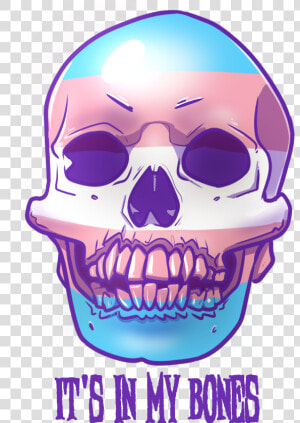 Transparent Skull No Jaw Png   Skull  Png Download