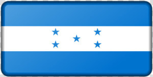 Cobalt Blue flag electric Blue   Flag Png Paraguay  Transparent Png