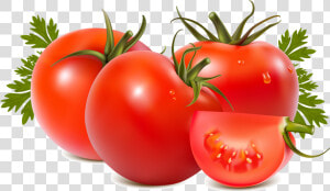 Tomato And Kidney Stone Everyday Life   Tomato Png  Transparent Png