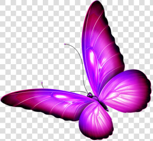  butterfly  wings  pink  purple  shaded  wingedcreatures   Brush footed Butterfly  HD Png Download