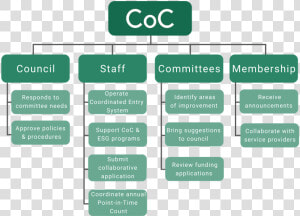 Tree Structure Of Coc Organization   Management And Organization Chart  HD Png Download