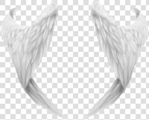 Angel Wings Png File   ادوات تصميم مقصوصه  Transparent Png